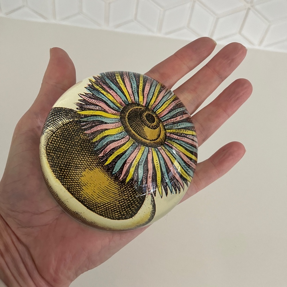 JOHN DERIAN Glass Dome Paperweight Decoupage Sea Anemone Decor Handmade - Picture 7 of 16